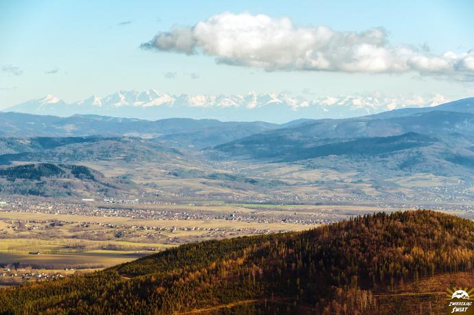 Widok z Klimczoka