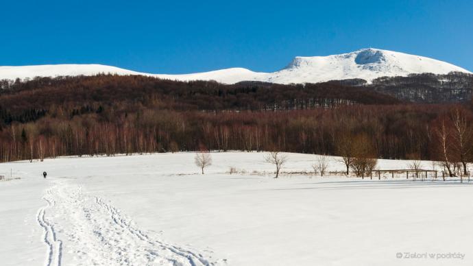 Tarnica zimą widziana z początkowego fragmentu szlaku z Wołosatego.
