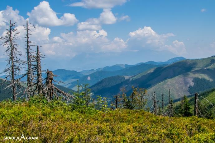 Widoki na podejściu.