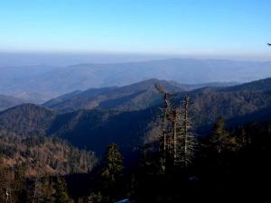 krajobraz Beskidu Sądeckiego