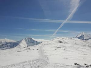 starorobociański (1)