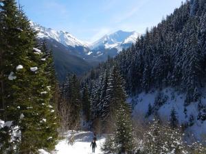 starorobociański (12)