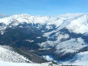 starorobociański (22)