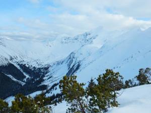 starorobociański (49)