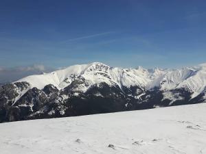 starorobociański (5)