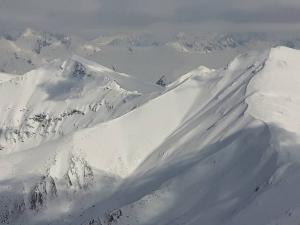 starorobociański (7)