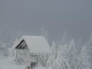 w drodze na Szrenicę