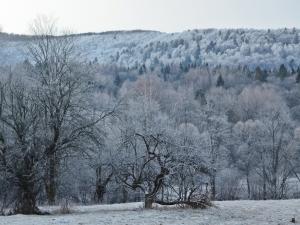 Bieszczady