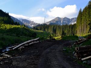 Demianowska Dolina - szlak zielony