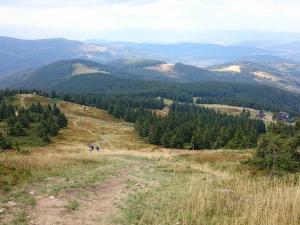 Okolice Hali Słowikowej