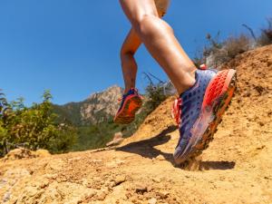 HOKA ONE ONE W's Speedgoat 2 Marlin & Blue Ribbon 