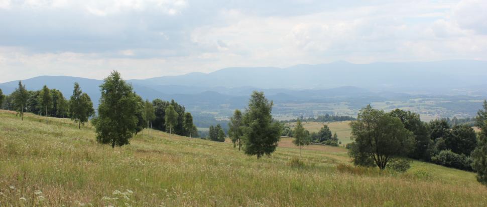Szlak Przełęcz Komarnicka - Przełęcz Widok