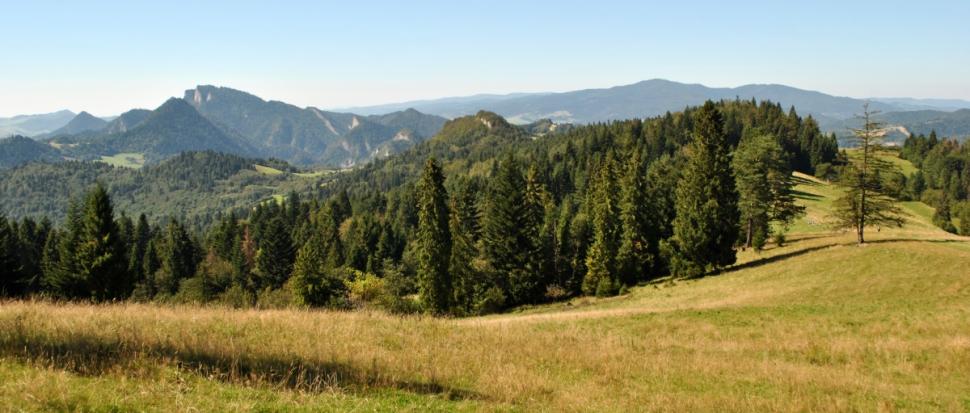 Trzy Korony widziane spod szczytu Cyrhle